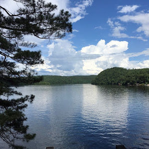 Meet your Posher, Ron